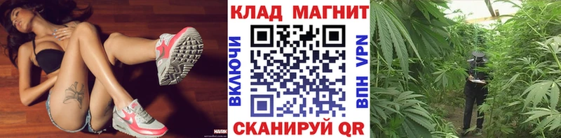 Купить закладку Перевоз Кокаин  Галлюциногенные грибы  Мефедрон  ГАШИШ  Бошки Шишки 