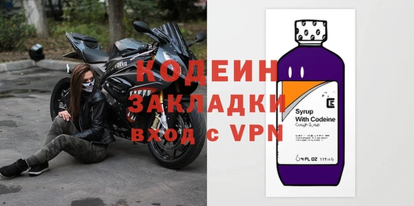 индика Дмитриев