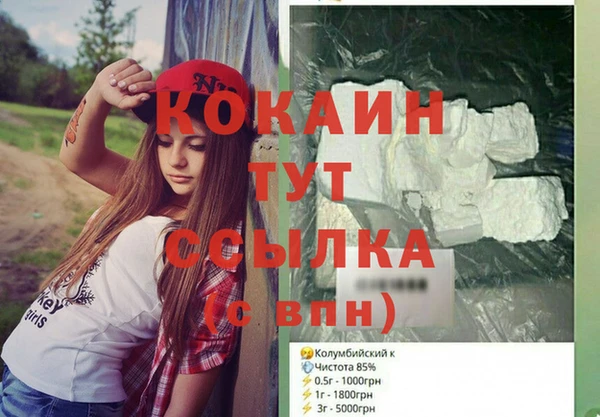 индика Дмитриев