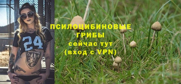 индика Дмитриев