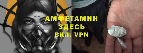 соль ск Дмитровск