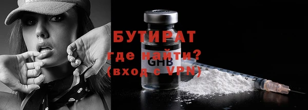 индика Дмитриев
