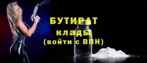 индика Дмитриев