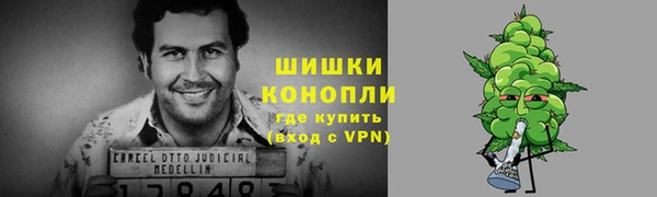 соль ск Дмитровск