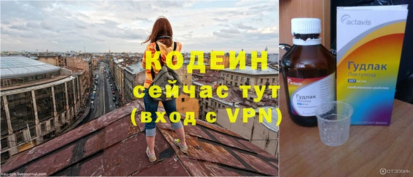 соль ск Дмитровск