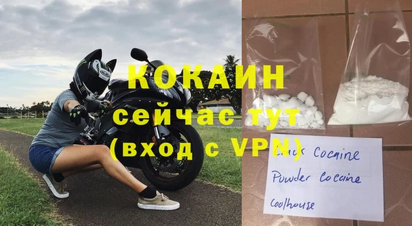 индика Дмитриев