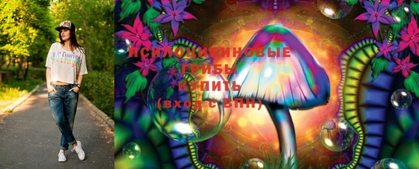 индика Дмитриев