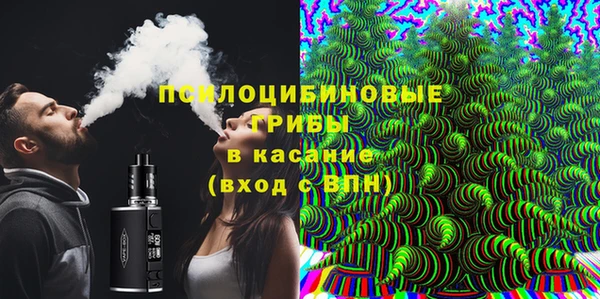 соль ск Дмитровск
