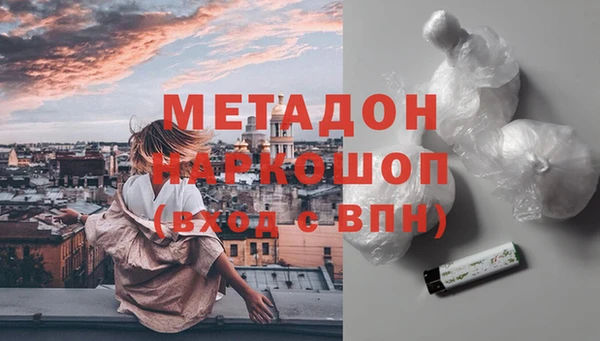 индика Дмитриев