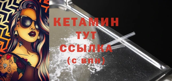 индика Дмитриев