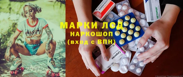 индика Дмитриев