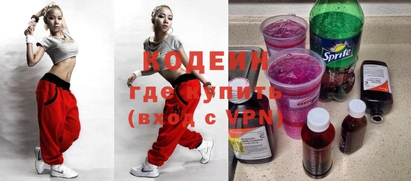 индика Дмитриев