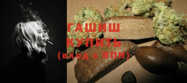 индика Дмитриев