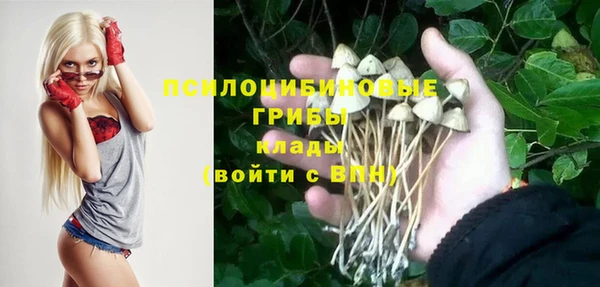 соль ск Дмитровск