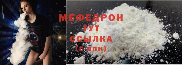 индика Дмитриев