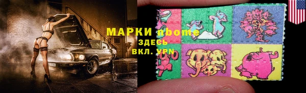 индика Дмитриев