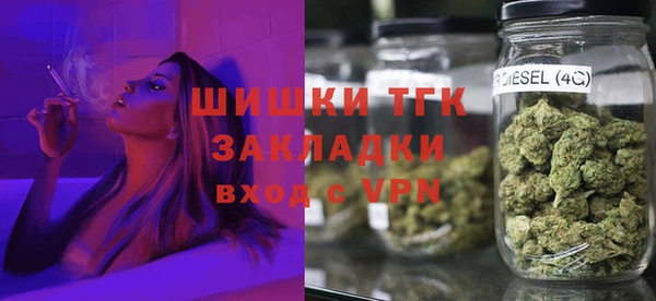 индика Дмитриев
